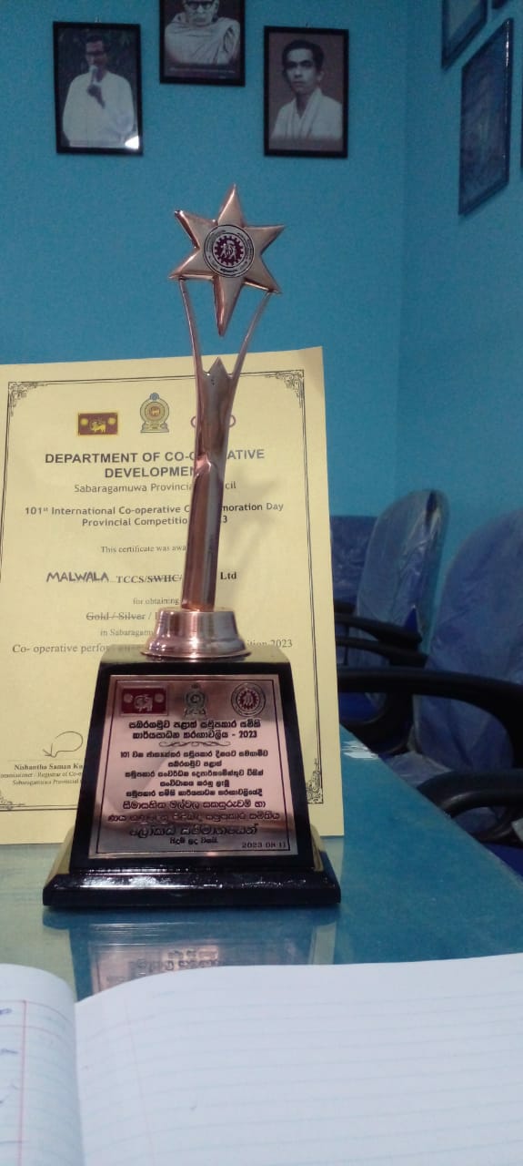 Sabaragamuwa Province Bronze Award 2023